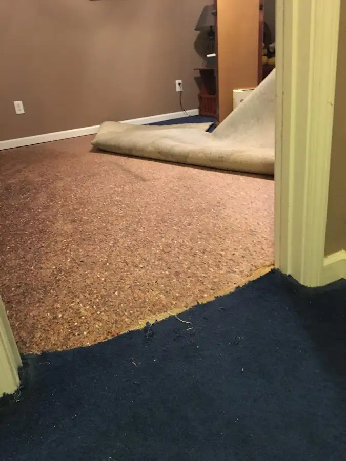 Carpet pad removal revealing water damage during Water Mitigation Services in Broadview Park