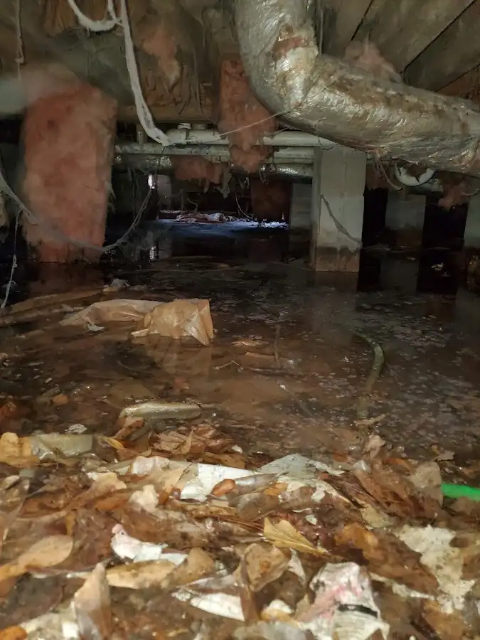Crawl space flood assessment for Leak Detection & Repair in Broadview Park