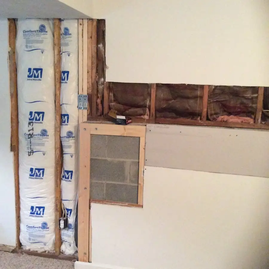 Wall insulation replacement during Odor Removal & Deodorization in Broadview Park